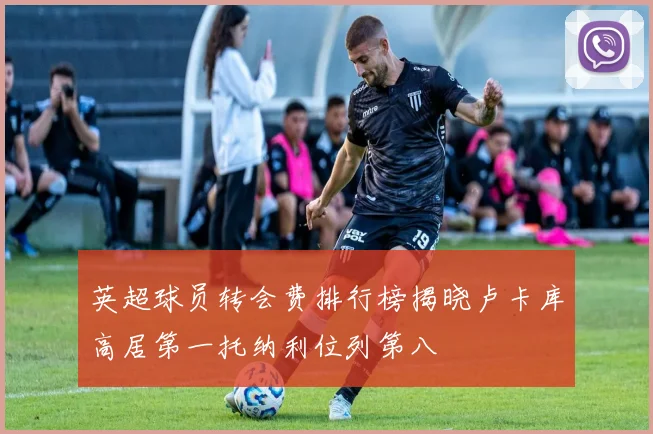 英超球员转会费排行榜揭晓卢卡库高居第一托纳利位列第八