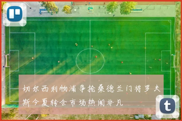 切尔西利物浦争抢桑德兰门将罗夫斯今夏转会市场热闹非凡